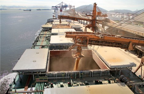 Foto: Fábio Scremim/APPA