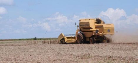 Plano Safra 2014/2015 disponibilizará R$ 156,1 bilhões em recursos