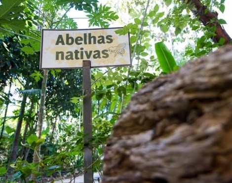 0c33cbbfbf55d725ed62a8feec77bb6b_XL